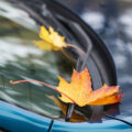 Manutenzione auto in autunno: i controlli da non dimenticare
