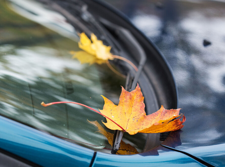 Scopri i consigli di manutenzione auto in autunno: gomme, carrozzeria, liquidi e controlli fondamentali per viaggiare sicuri nella stagione fredda.